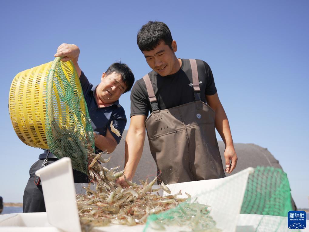 投注在线游戏